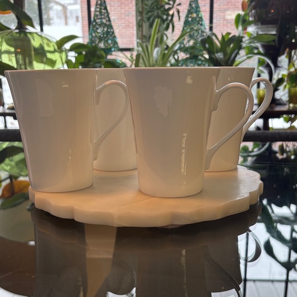 Mikasa Other - Mikasa DELRAY Bone China Mug Set
